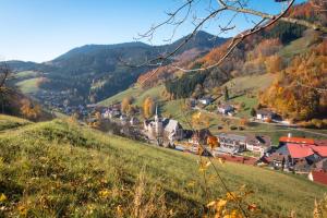 une petite ville dans une vallée avec des collines et des arbres dans l'établissement Ferienwohnung am Kapellenberg - am Rande des Nationalparks Schwarzwald, à Bad Peterstal-Griesbach