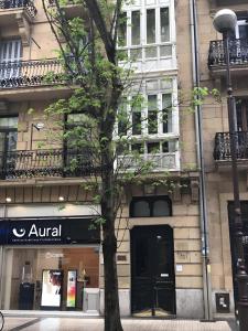 a tree sitting in front of a building at Apartamento Deluxe Bella Easo by Cisan Rentals in San Sebastián