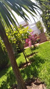 een palmboom voor een tuin met bloemen bij Villa avec piscine in Plage de Mehdia