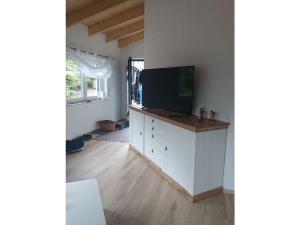 a living room with a flat screen tv on a cabinet at Holiday home Am Dachsberg in Burkhardtsdorf