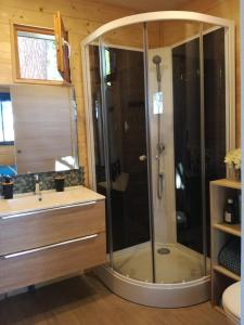 ein Bad mit einer Dusche und einem Waschbecken in der Unterkunft Tiny chalet dans la campagne lauragaise in Baziège