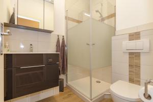 a bathroom with a shower and a toilet and a sink at Stolz-Butze Whg 19 in Kühlungsborn