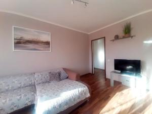 Sunny Apartment في ريغا: غرفة معيشة مع أريكة وتلفزيون بشاشة مسطحة