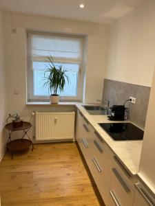 a kitchen with a window and a plant on the counter at Groß, aber gemütlich - citynah in Unna +11 photos
