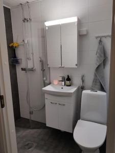 La salle de bains blanche est pourvue d'une douche et de toilettes. dans l'établissement Yksiö Iisalmen keskustassa., à Iisalmi
