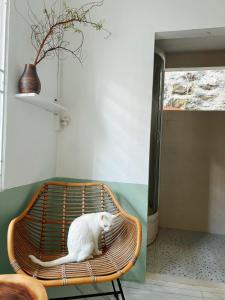 un gato blanco sentado en un banco de ratán en The Hue Homestay en Thôn Dương Xuân Hạ