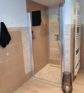 a shower with a glass door in a bathroom at Harksen Hüs in Klixbüll