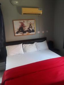 a bedroom with a bed with a red blanket at OD-V!CK'S BUDGET ROOMS, 24HR POWER, SECURITY, DSTV in Abuja
