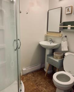 uma casa de banho com um WC, um lavatório e um chuveiro em Ultimate Pet-friendly Studio #1, Patio em Halifax