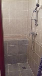 a shower with a shower head in a bathroom at Apartment v historickom centre in Bardejov