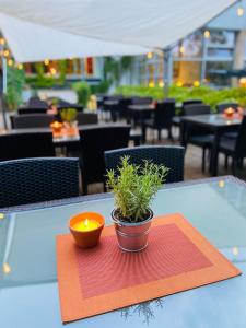 een kaars en een plant op een tafel in een restaurant bij Burg Bollendorf by PRISMA in Bollendorf