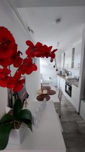 a kitchen with red flowers in a white room at Orchidea Veszprém Apartman in Veszprém