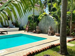 Verla的住宿－VILLA LOU GOA Heritage Portuguese House 1903 With Pool，一座游泳池,旁边是一只猫