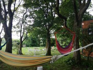 a hammock hanging from a tree in a garden at Tiny chalet dans la campagne lauragaise in Baziège