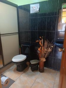 a bathroom with a toilet and a sink and a plant at Apartamentos M&M in Fortuna