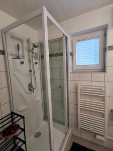 a bathroom with a shower and a window at Alpha Alpin Apartment in Zell am See
