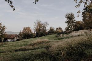 una casa vieja en una colina con un campo de hierba en Molnár Apartment, 