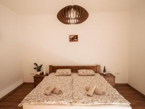 um quarto com uma cama com duas almofadas em Molnár Apartment 
