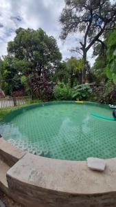 a swimming pool with green water in a yard at Casa Ágape in Ingeniero Maschwitz