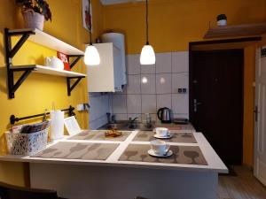 una cocina con encimera con tazas y platos. en Apartament Różana przy ICE, en Cracovia