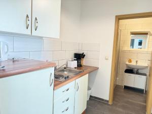 a kitchen with a sink and a toilet in it at Pension Dresdener Berge in Dresden