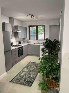 a kitchen with stainless steel appliances and a rug at Close to Belfast City Centre.Modern Opened Planned in Belfast