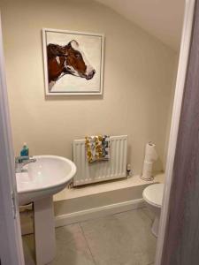 ein Badezimmer mit einem Waschbecken und einem Bild einer Kuh in der Unterkunft Close to Belfast City Centre.Modern Opened Planned in Belfast