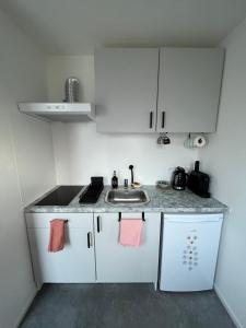 a small kitchen with white cabinets and a sink at Bobule v sudu in Bořetice +10 photos