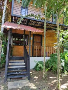 una casa con una scala che porta a esso di Papaya Wildlife Lodge a Cahuita