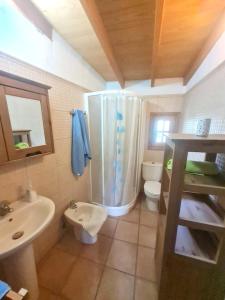 y baño con ducha, aseo y lavamanos. en One bedroom bungalow with terrace at Carreteria 9 km away from the beach, en Moya