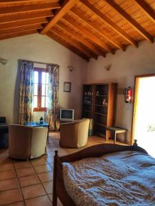 1 dormitorio con 1 cama y escritorio en una habitación en One bedroom bungalow with terrace at Carreteria 9 km away from the beach, en Moya