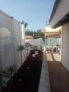 a courtyard with plants and a white building at Mes 5 Bijoux in Arona