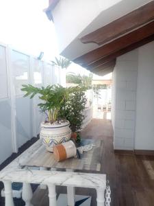 eine Veranda mit einer Topfpflanze und einem Tisch in der Unterkunft Mes 5 Bijoux in Arona