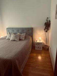 1 dormitorio con 1 cama y una maceta en Apartments Toma, en Kaštela