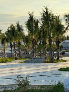 a group of palm trees in a parking lot at Home Sun Moon - Home 4 in Phan Thiet