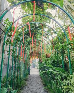 a green greenhouse with red ribbons hanging from it at Home Sun Moon - Home 4 in Phan Thiet +14 photos