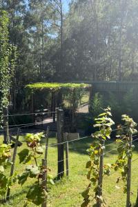uma cerca com um portão num quintal em Casa Ócio By Canela do Mato em Palomas