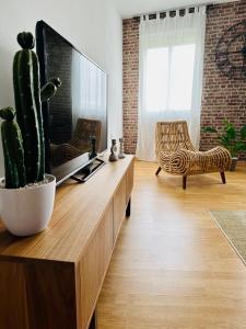 a living room with a tv and a cactus at Los Meandros in Sástago