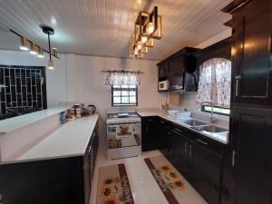 a kitchen with a sink and a stove top oven at Cozy & Central 2 Bedroom Apt in Georgetown