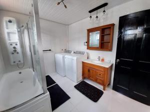 a bathroom with a sink and a washer and dryer at Cozy & Central 2 Bedroom Apt in Georgetown