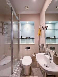 La salle de bains est pourvue de toilettes, d'une douche et d'un lavabo. dans l'établissement A private bedroom with art style located in the city center, à Portsmouth