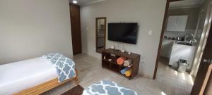 a bedroom with a bed and a flat screen tv at SEMEREL APARTMENT in Palm-Eagle Beach