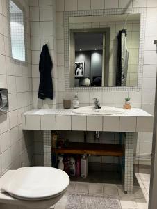 een badkamer met een wastafel, een toilet en een spiegel bij Frogner Gården Penthouse Terrasse in Oslo +15 foto's