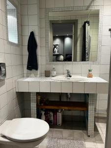 a bathroom with a sink and a toilet and a mirror at Frogner Park Penthouse Terrace in Oslo