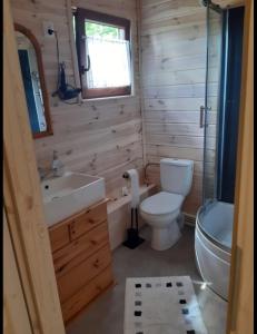 a bathroom with a toilet and a sink and a shower at Domek letniskowy Ania in Pasym
