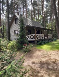 a cabin in the middle of a forest with a porch at Domek letniskowy Ania in Pasym