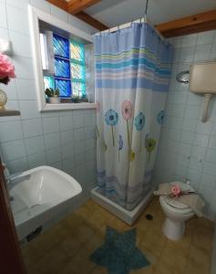 a bathroom with a shower curtain and a toilet at Kalliopi Apt in Kavros