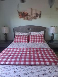 a red and white checkered bed with two red pillows at The Cozy Corner in Nassau