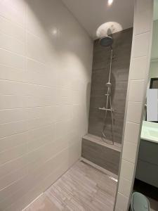 a shower in a bathroom with a shower at Maison Appart, Le Cocon Brindasien, 20 min de Lyon, 66 m2 in Brindas