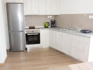 Kuchyň nebo kuchyňský kout v ubytování Brand New Apartment in Ialyssos